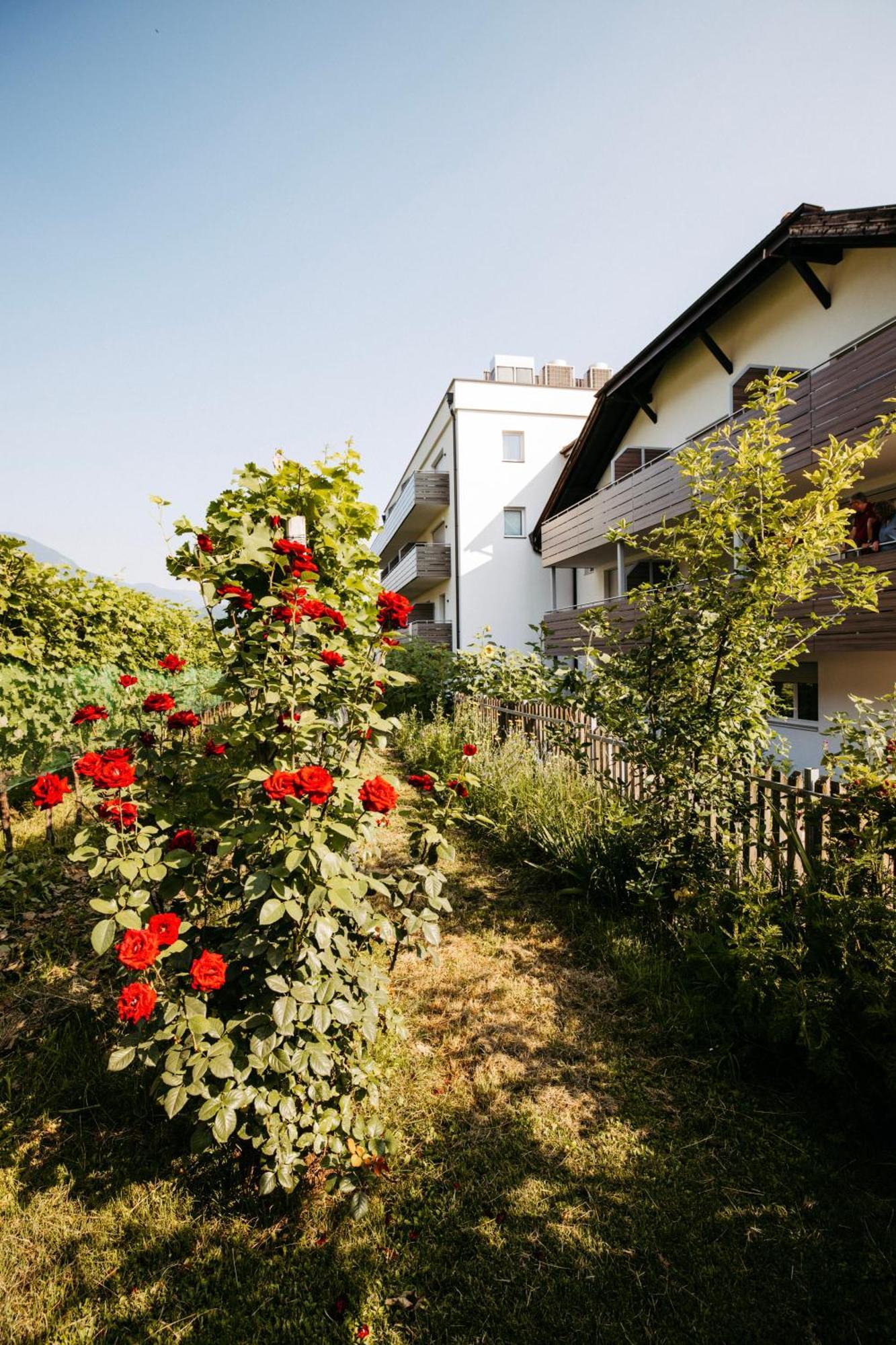 Hotel Gantkofel Andriano Esterno foto